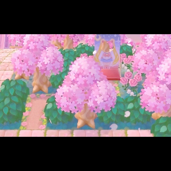 Meet your Posher, Anna - Picture 3 of 3